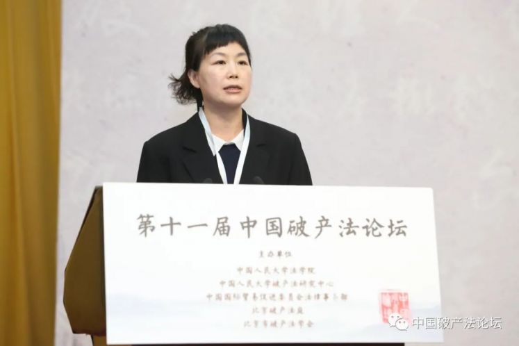 楊悅：?司法重整制度中的府院聯(lián)動(dòng)問題思考