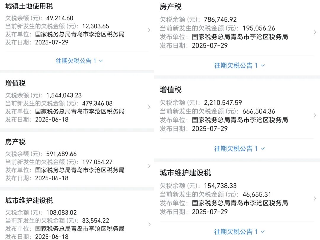 1772562888348308.jpg 25.jpg